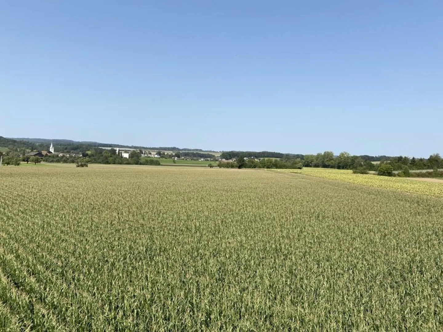 Réalisez votre rêve maintenant - Acquérir une maison à Müllheim TG (Maison A) - Photo 13 sur 19