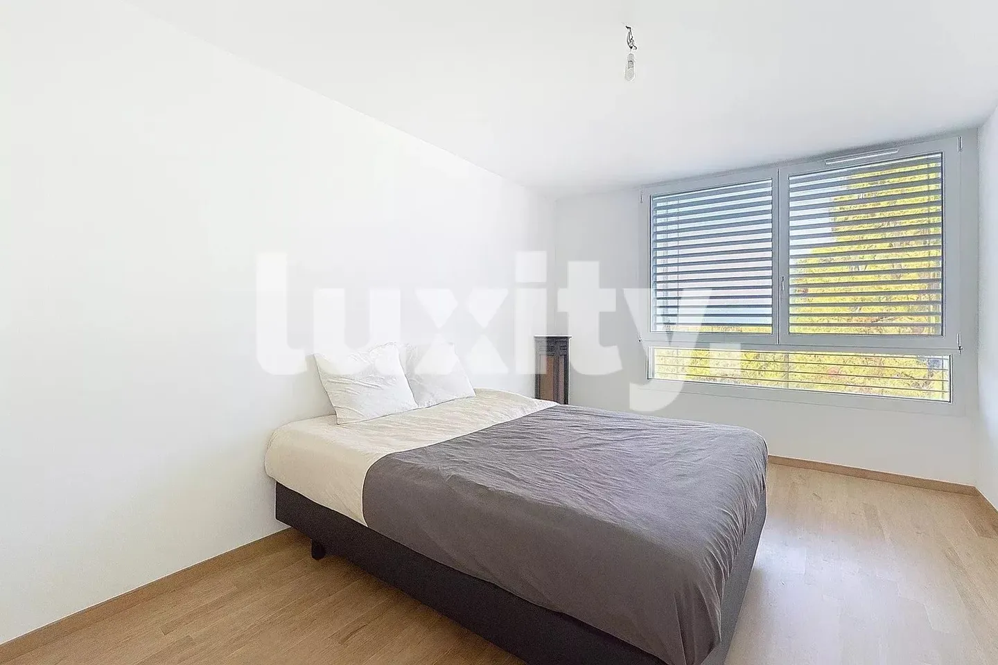 Beautiful apartment in Chêne-Bougeries - Photo 4 of 6