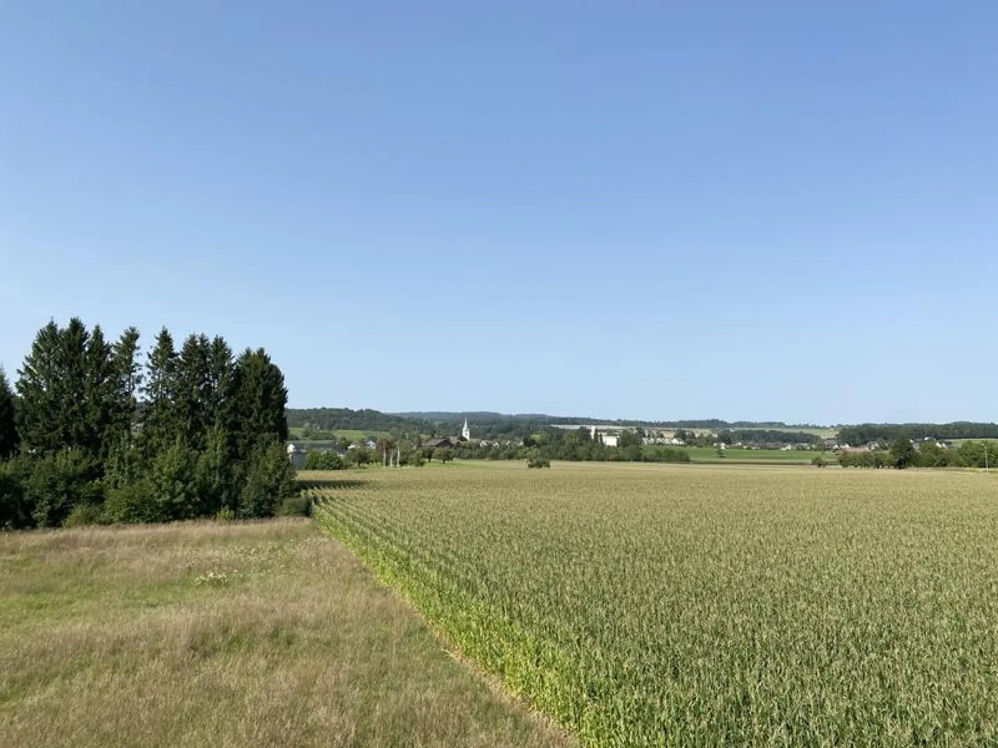 Réalisez votre rêve maintenant - Acquérir une maison à Müllheim TG (Maison A) - Photo 15 sur 19
