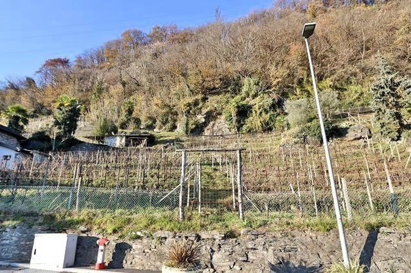 Charmanter Rebberg mit Steinkeller - Foto 1 von 25