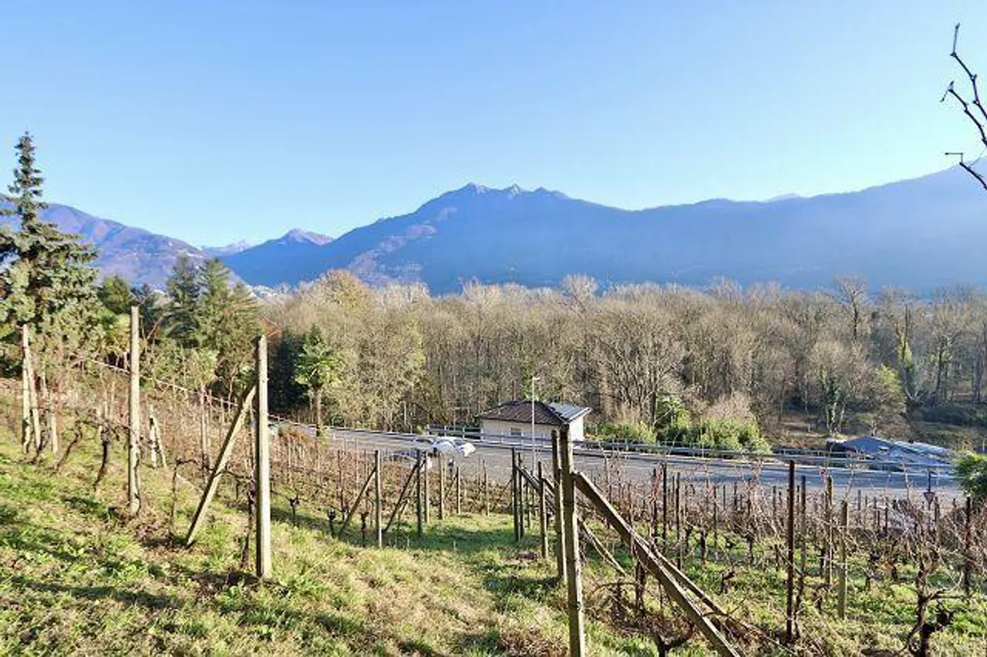 Charmanter Rebberg mit Steinkeller - Foto 12 von 25