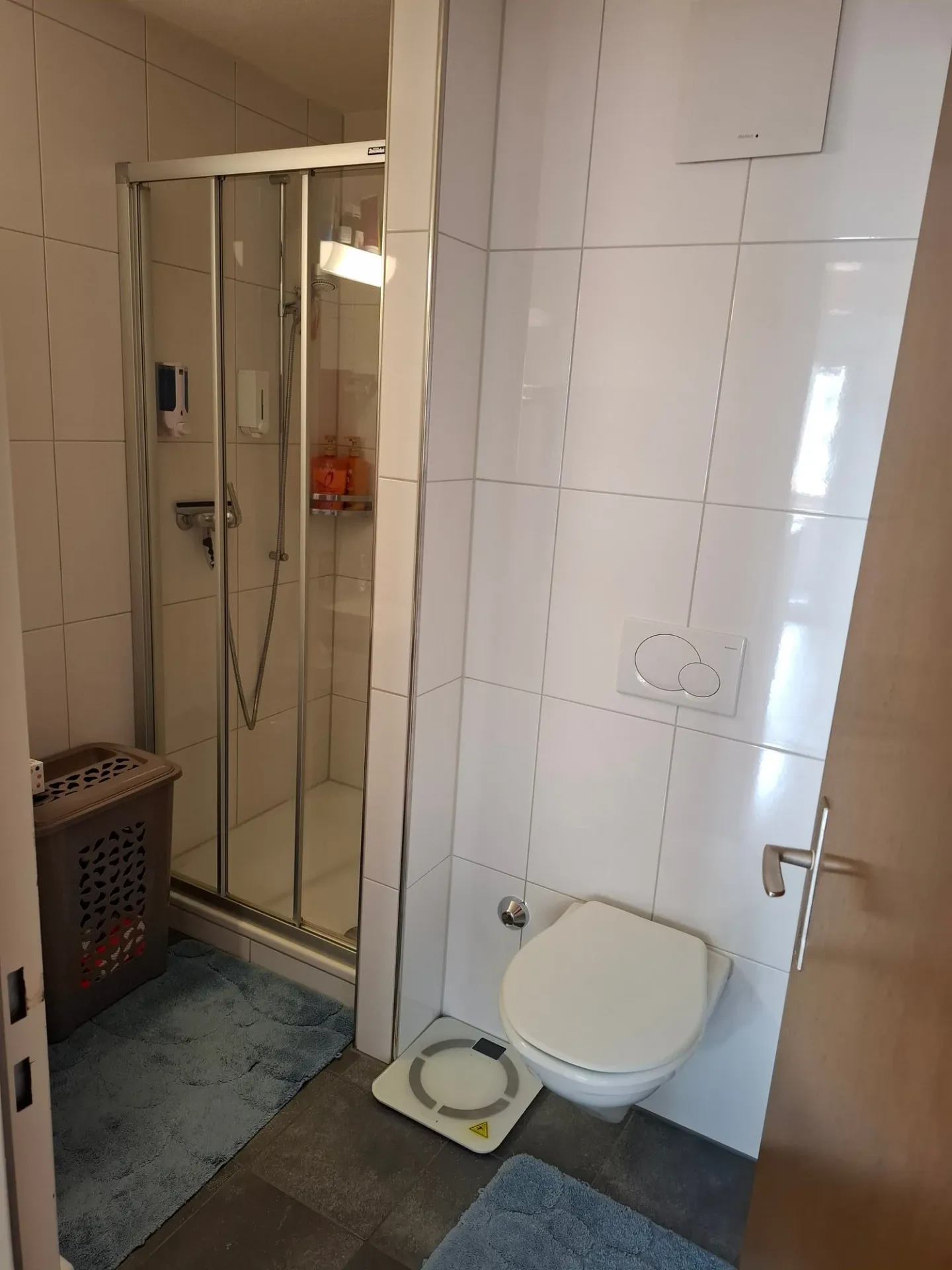 5.5-Room Apartment with Mountain View in Wassen - Photo 4 of 5