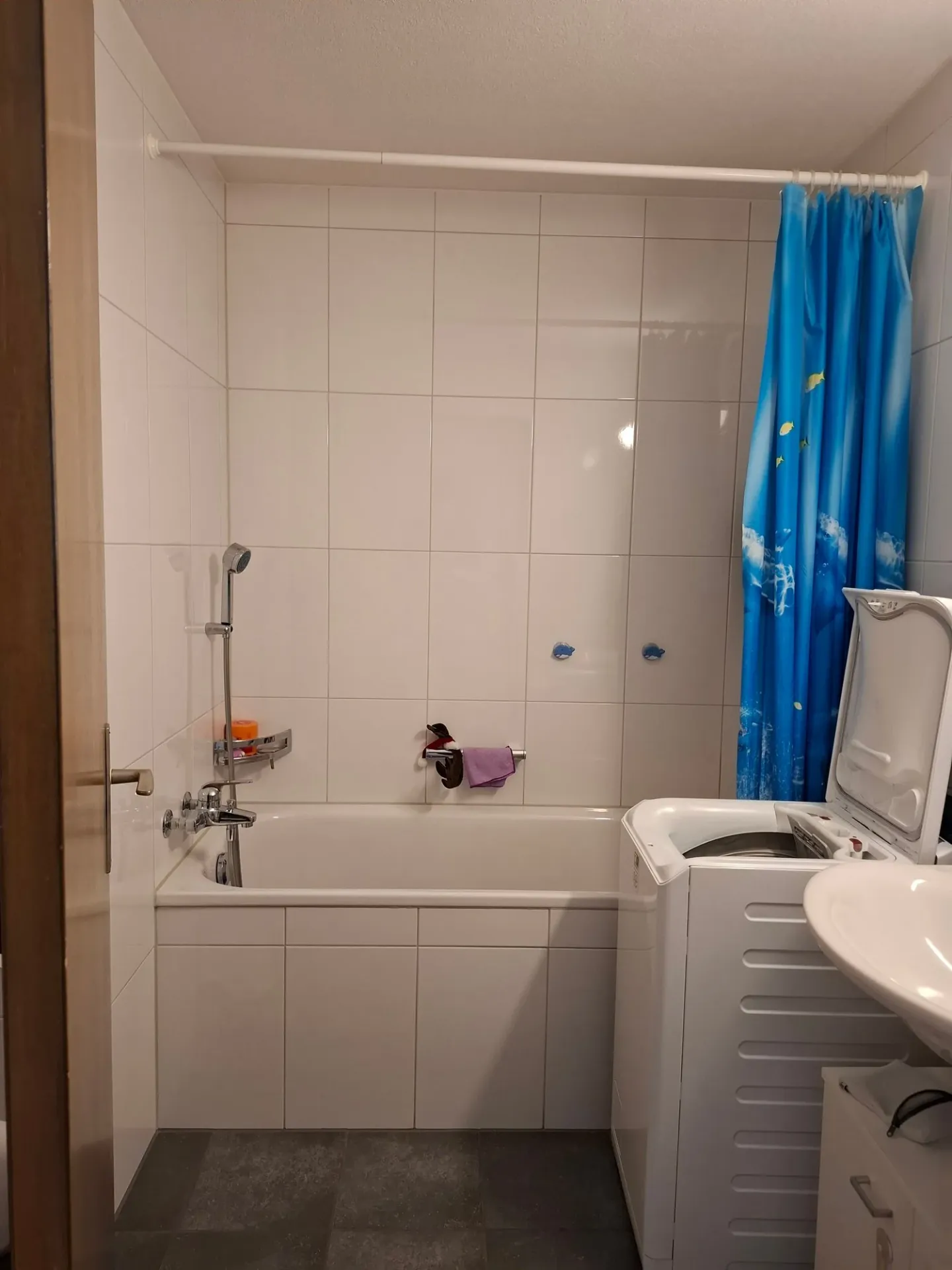 5.5-Room Apartment with Mountain View in Wassen - Photo 5 of 5