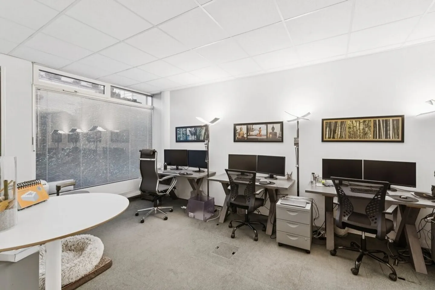 Ufficio Luminoso in Edificio Misto - Foto 3 di 11