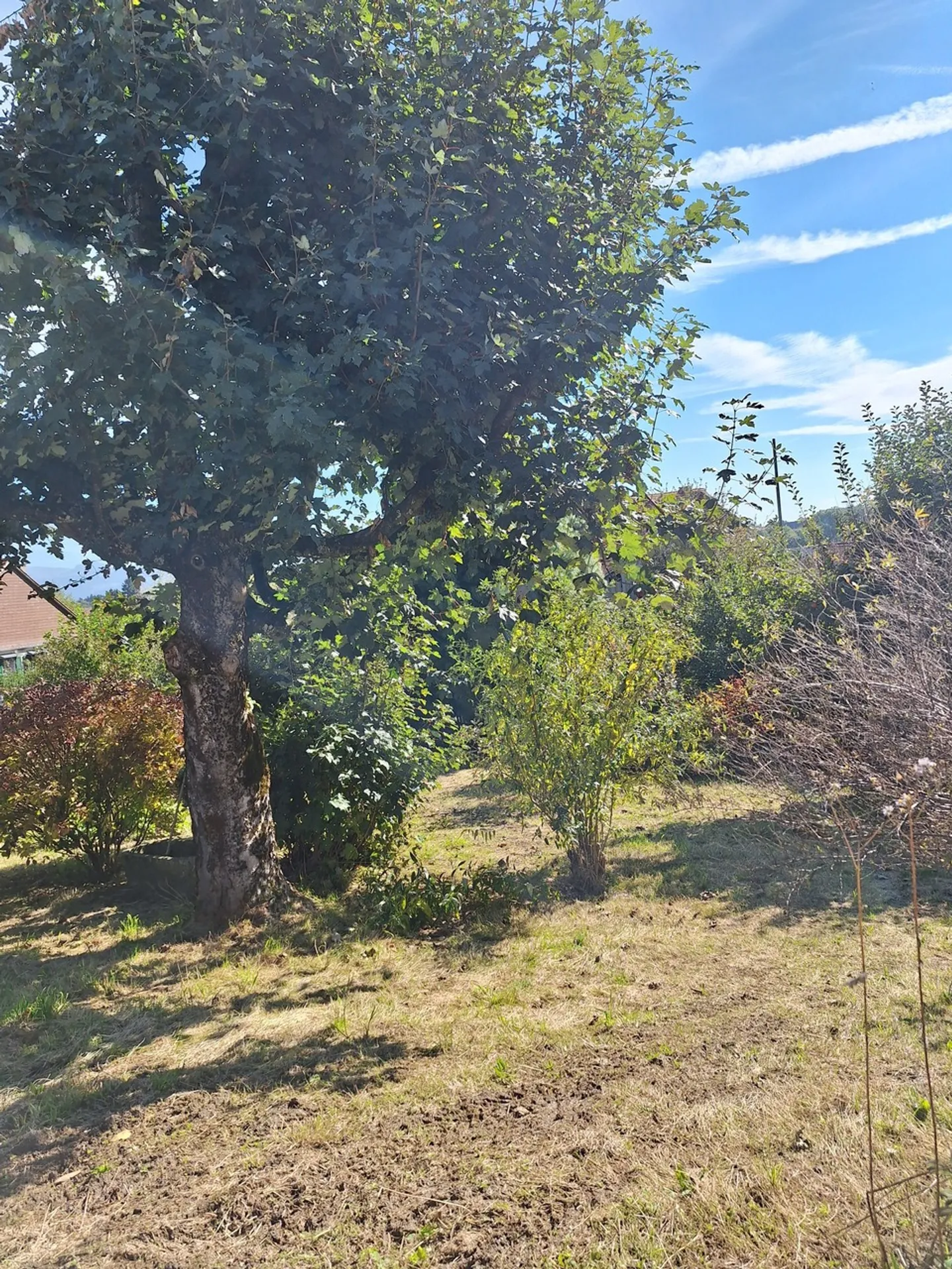 Terreno edificabile in campagna per casa familiare - Foto 1 di 3