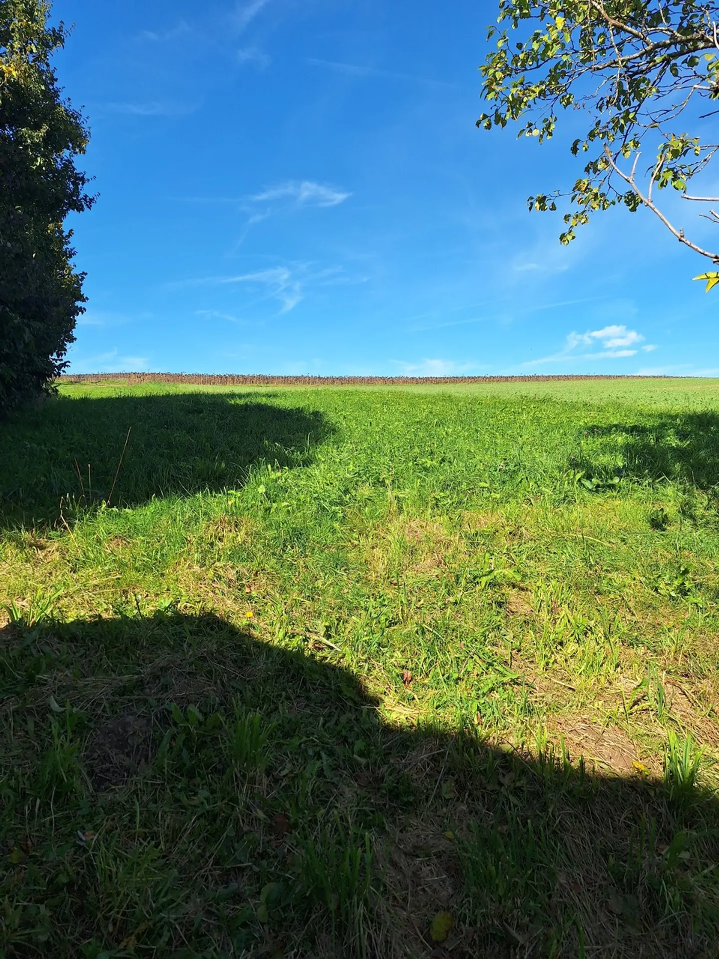 Terreno edificabile in campagna per casa familiare - Foto 2 di 3