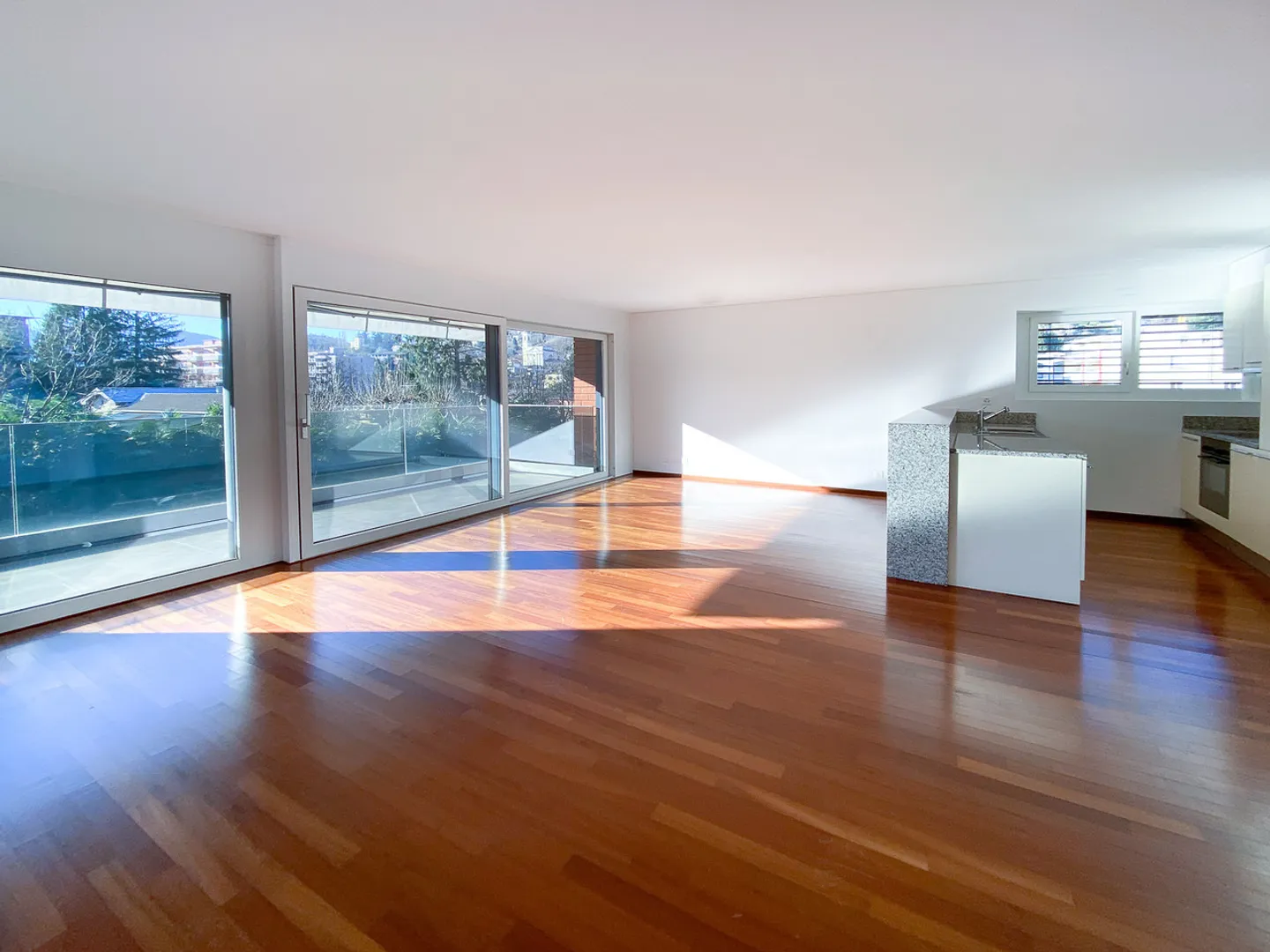 Ampio appartamento di 3,5 locali con terrazza ad Agno - Foto 2 di 9