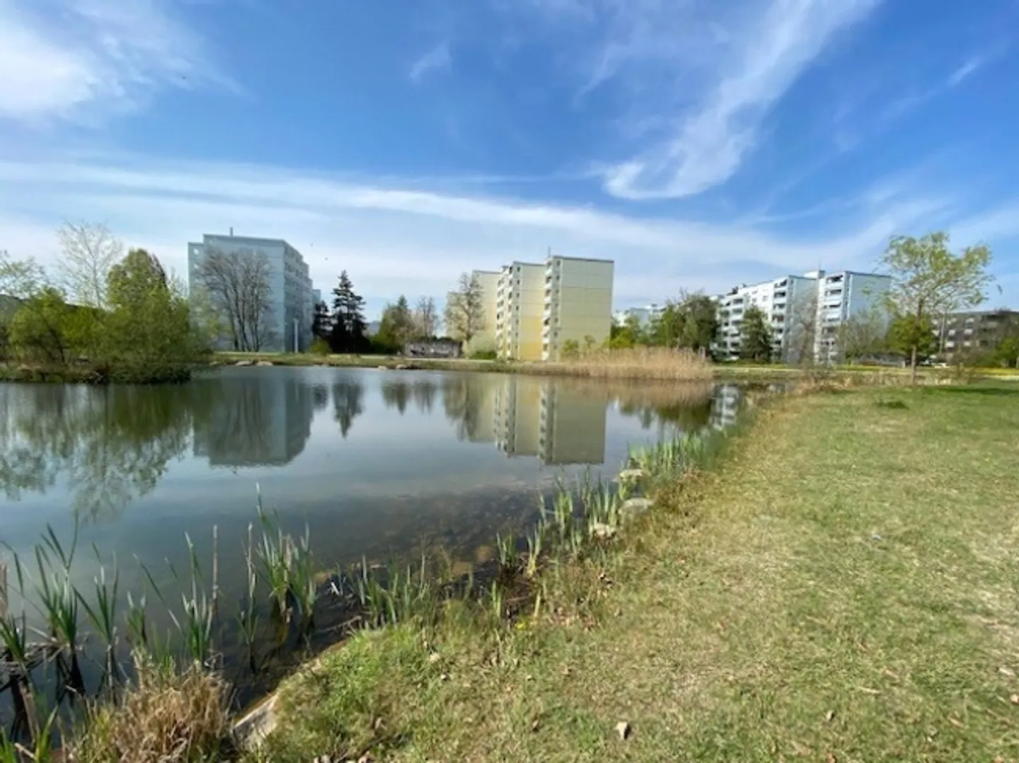 5½ APPARTAMENTO A VOLKETSWIL (ZH), ARREDATO - Foto 9 di 10