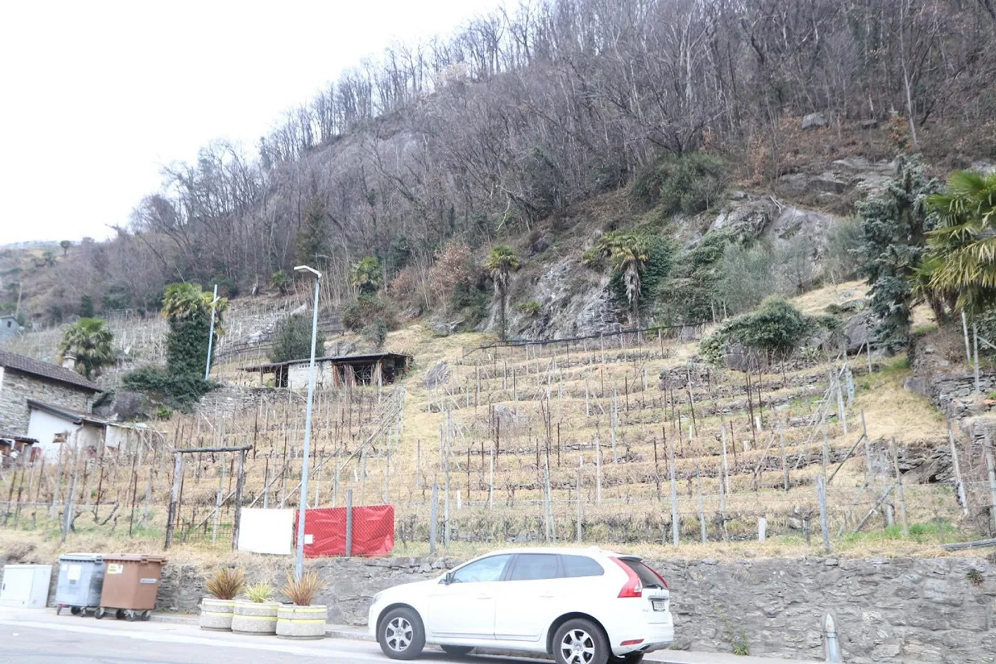 Vignoble - Photo 1 sur 20