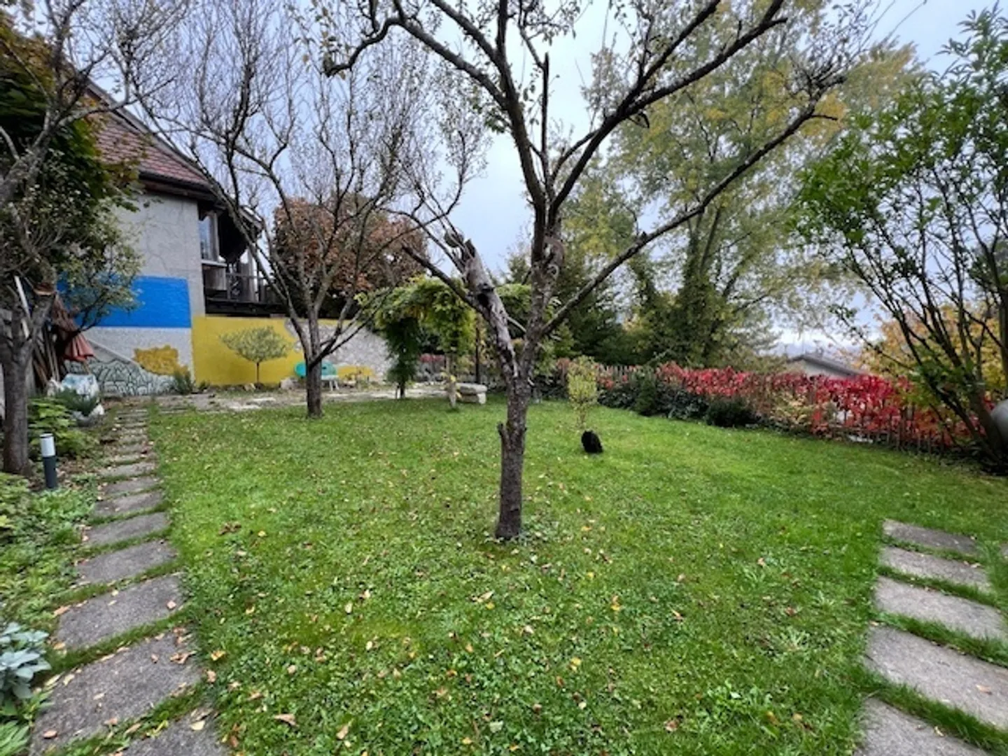 Charmantes 47 m² möbliertes Studio in grüner Umgebung - Foto 13 von 15