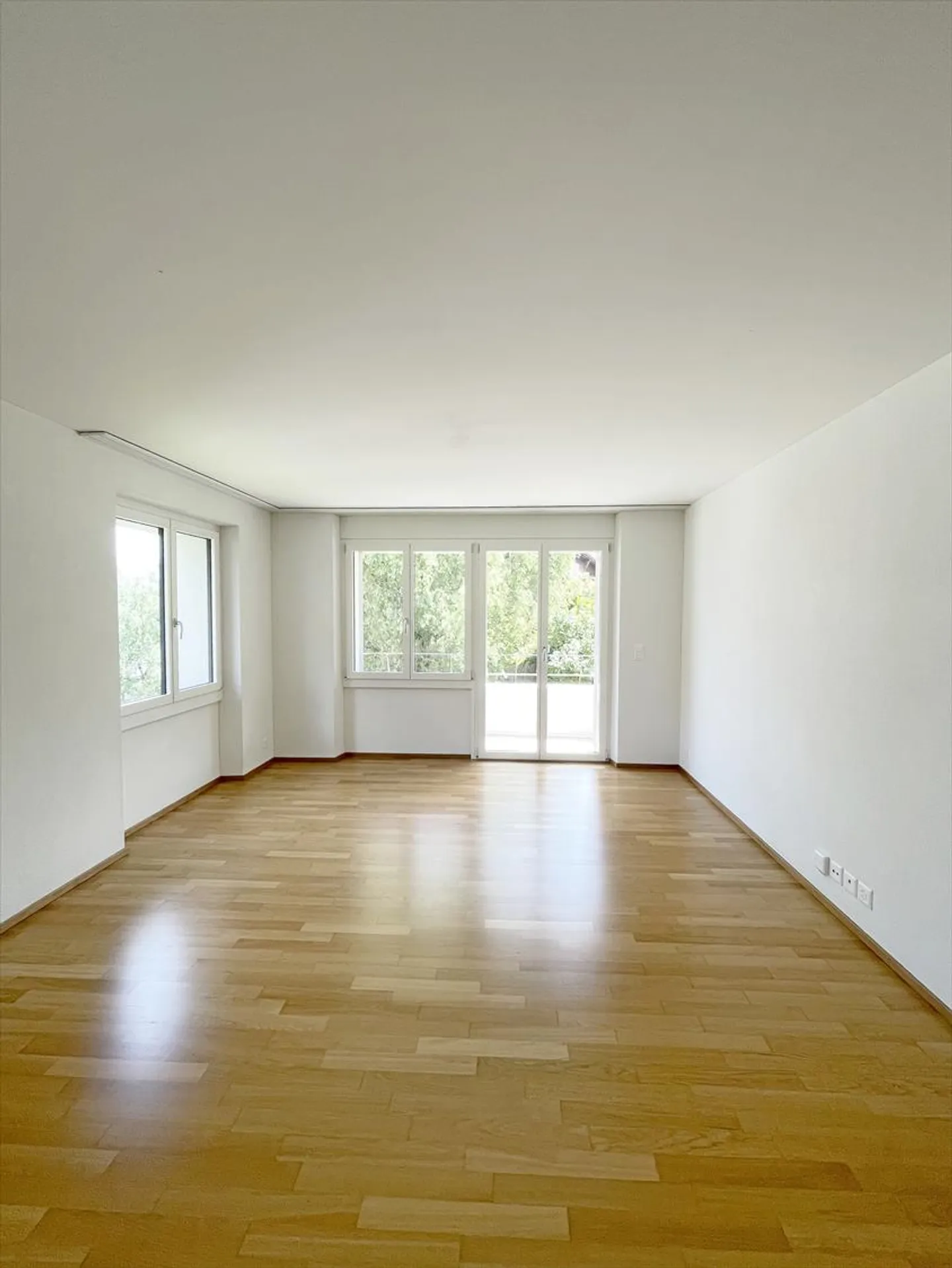 3.5 Room Apartment - Photo 2 of 5