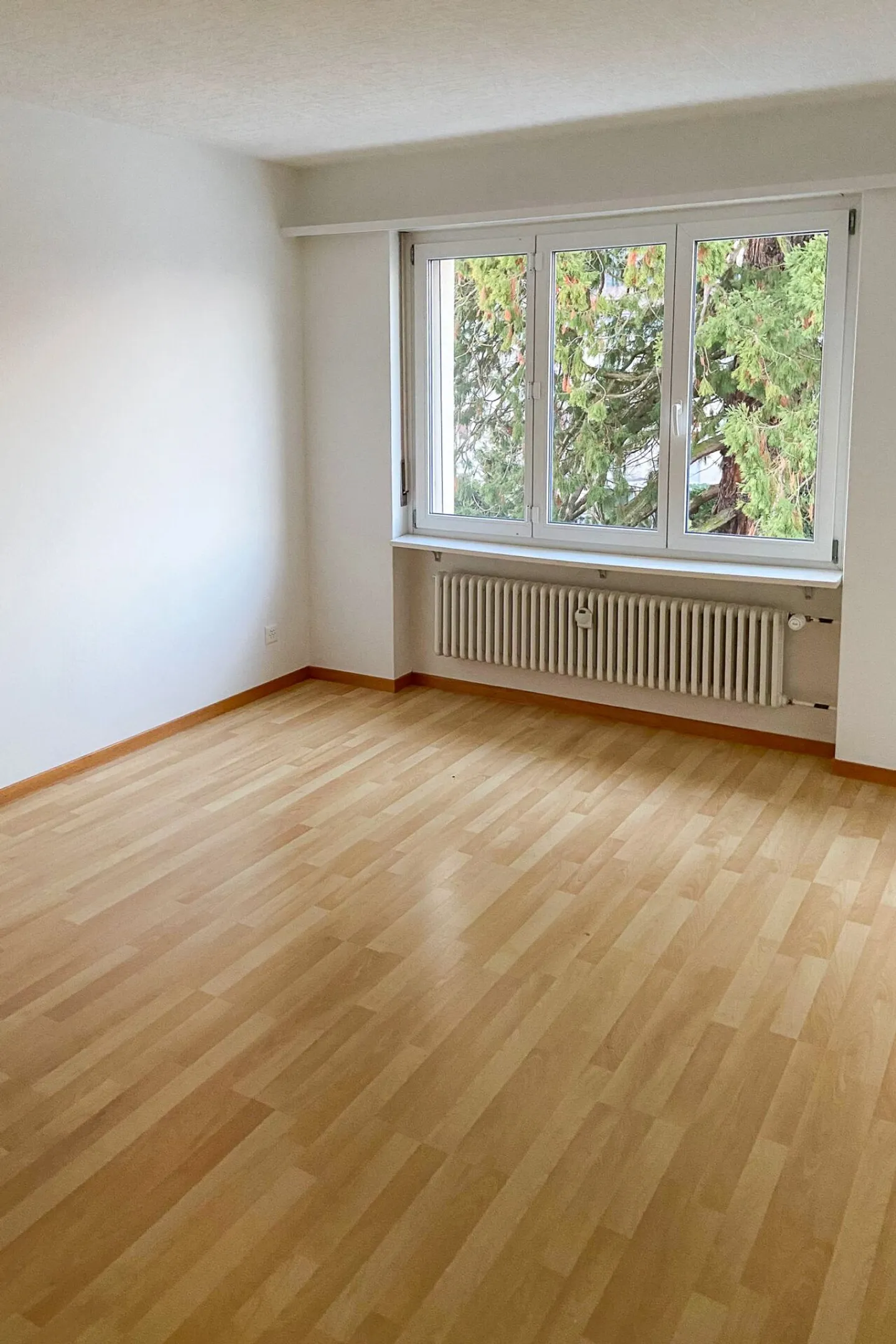 Geräumige Erdgeschosswohnung - Foto 5 von 8
