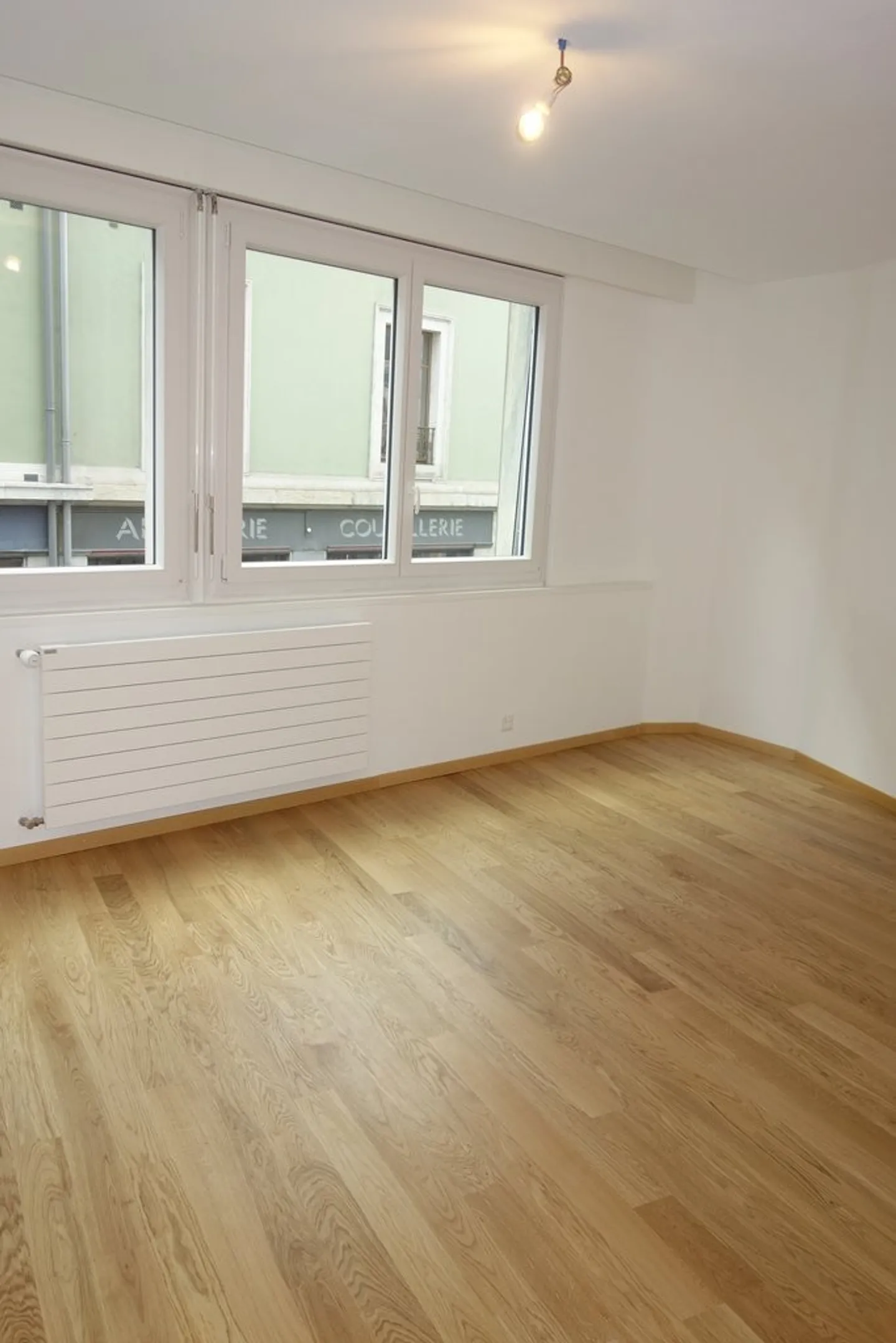 Livello di Plainpalais - Foto 5 di 7