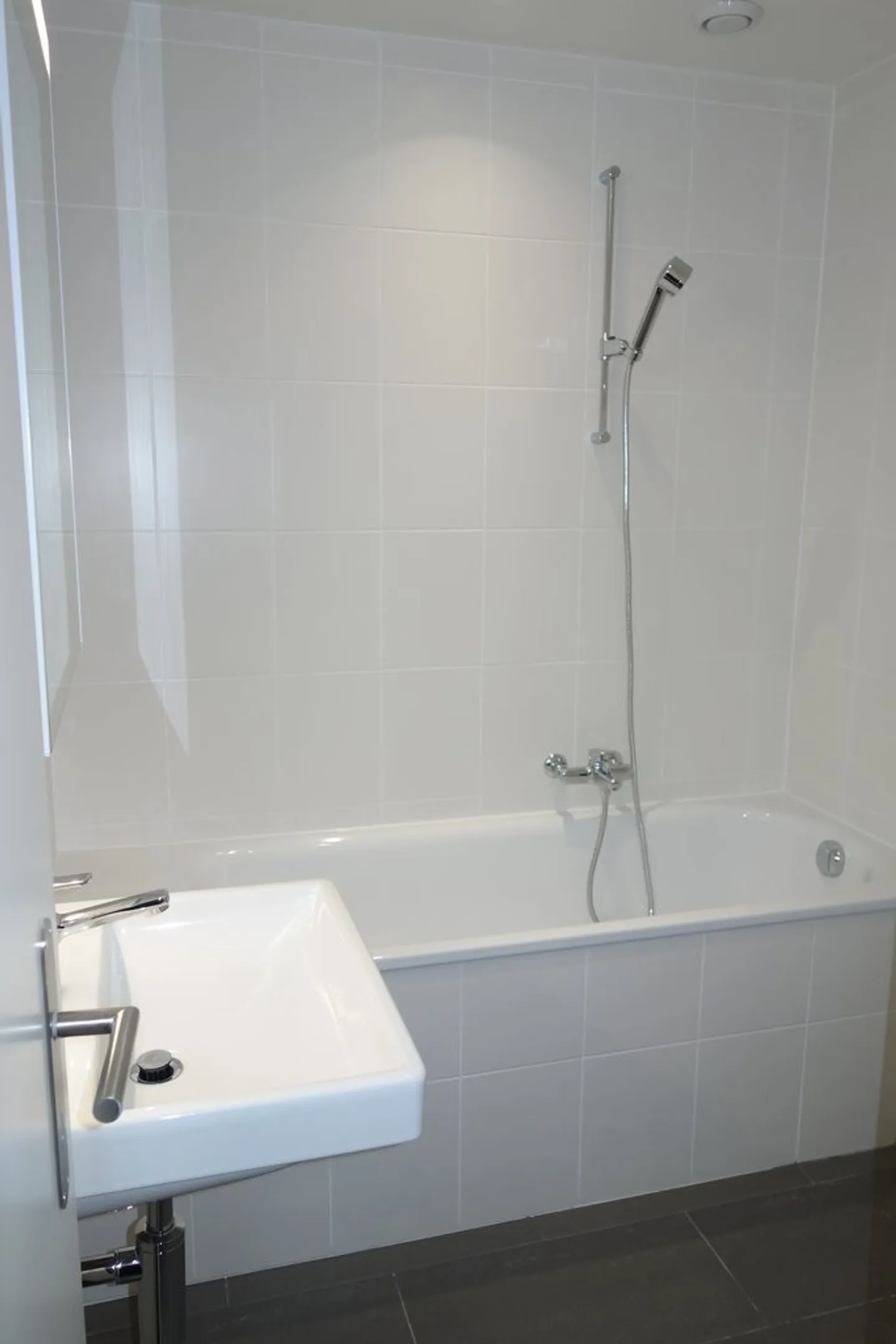 Livello di Plainpalais - Foto 6 di 7