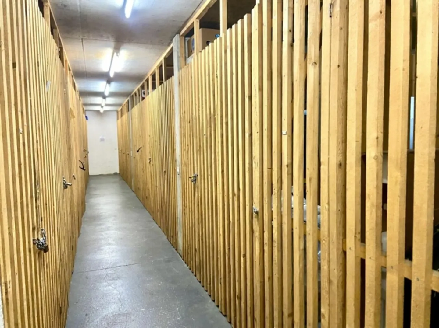 «Quartiere Moneral App. 510 - 2,5 locali completamente rinnovato» - Foto 19 di 20