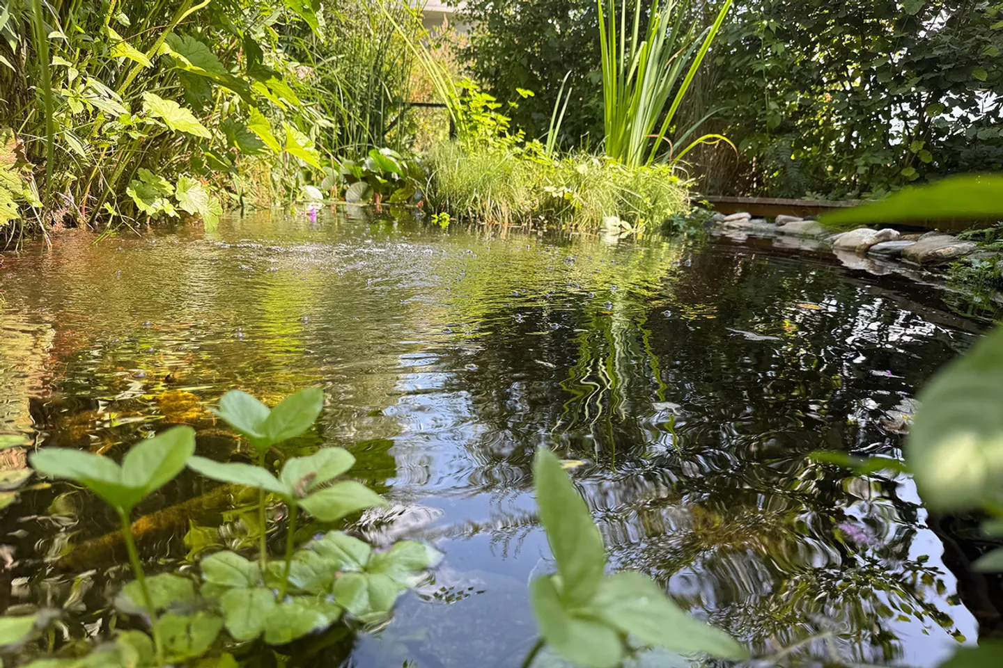 «"Casa Nera" - einzigartiges Einfamilienhaus an sonniger Hanglage im Val Lumnezia» - Foto 9 von 10