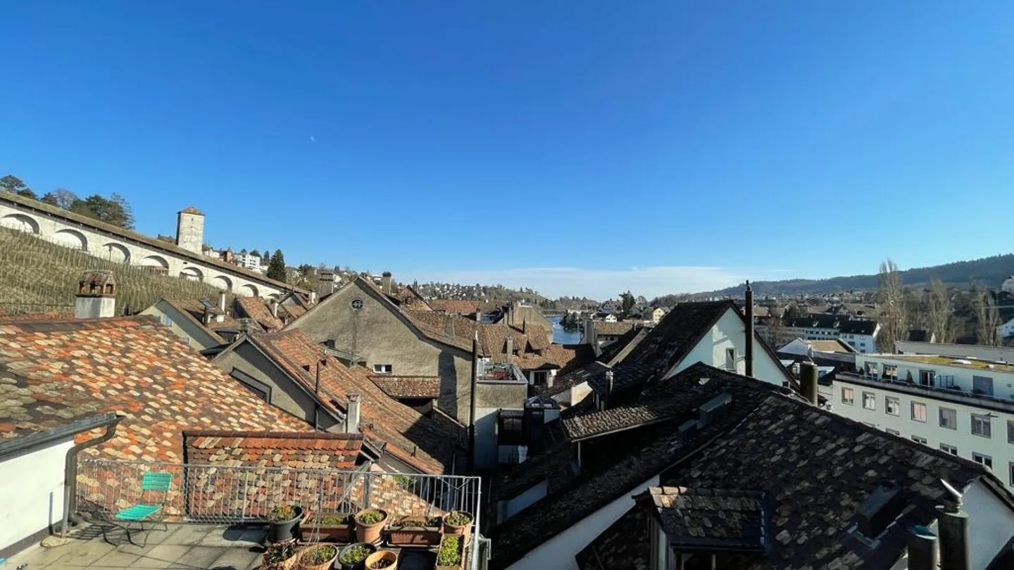 Modern and Furnished 2.5 Room Apartment in Schaffhausen - Photo 4 of 7
