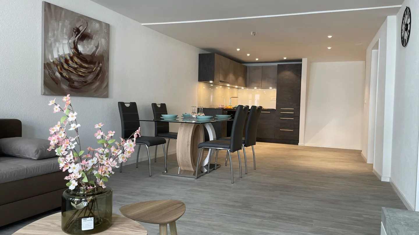 Modern and Furnished 2.5 Room Apartment in Schaffhausen - Photo 7 of 7