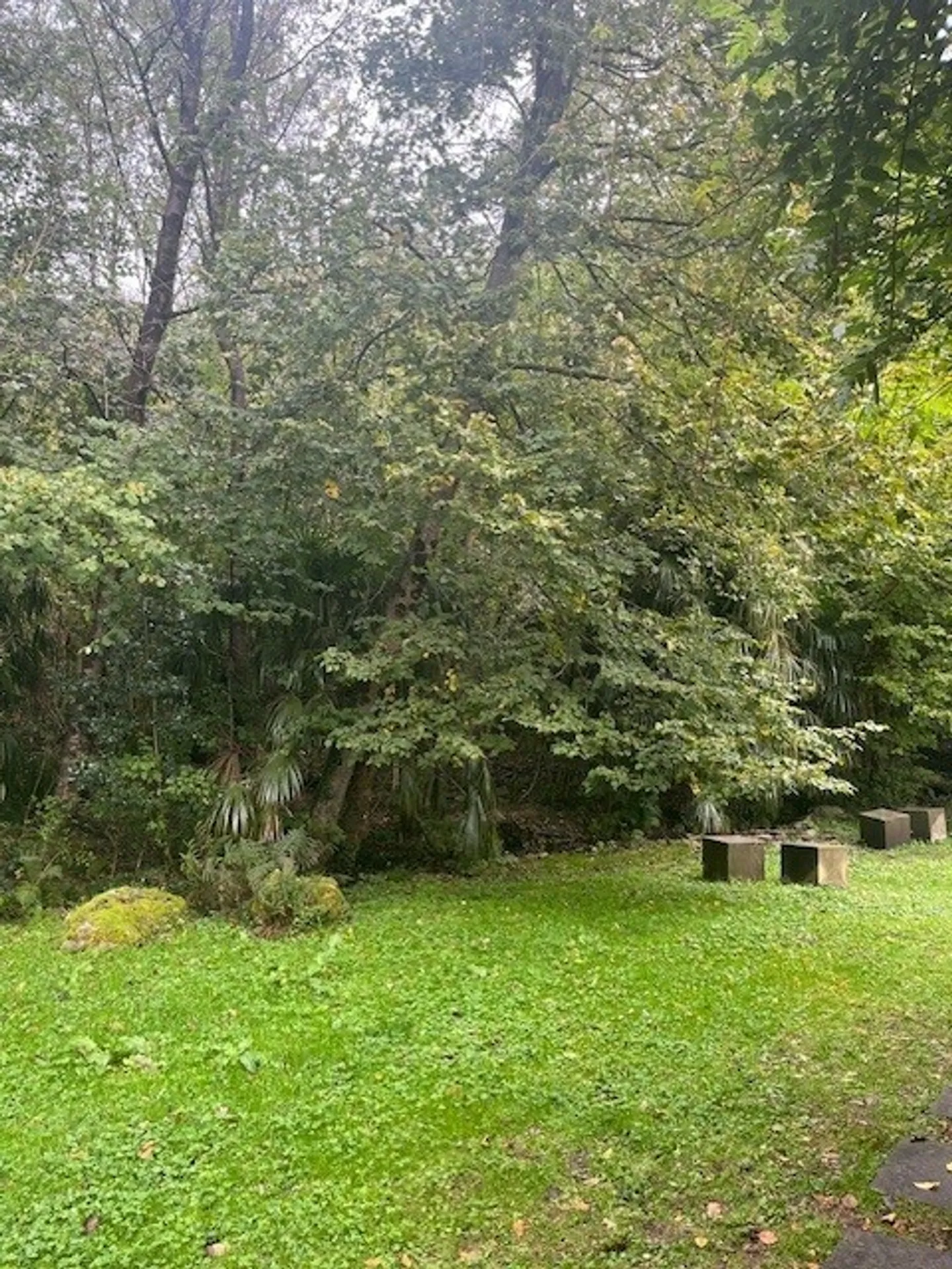 Casa singola in affitto - Foto 10 di 11