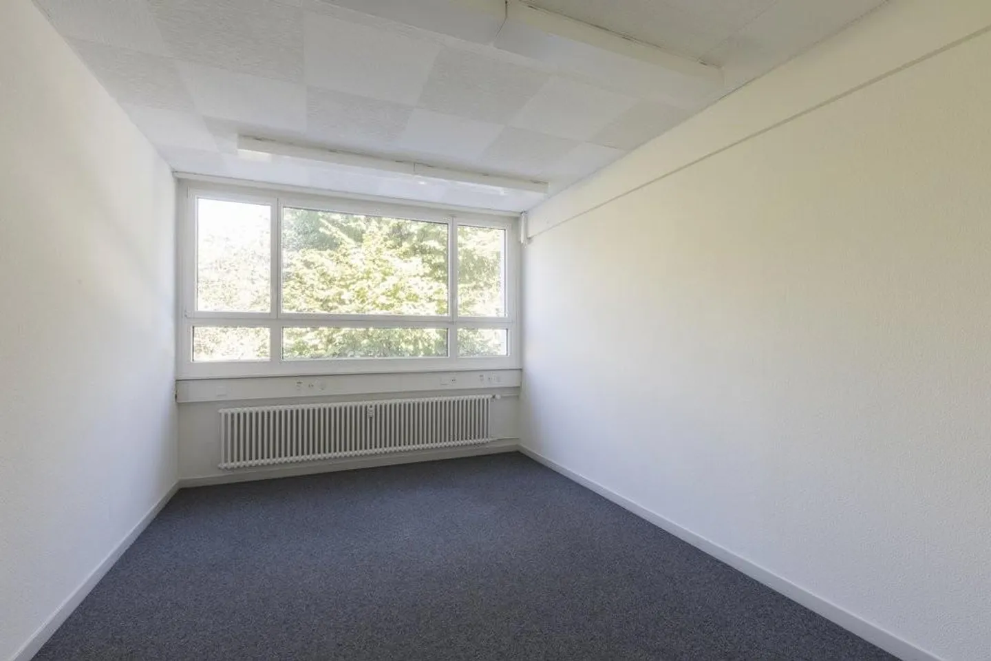 Office space at Spalentor: Bright, functional, expandable - Photo 3 of 11