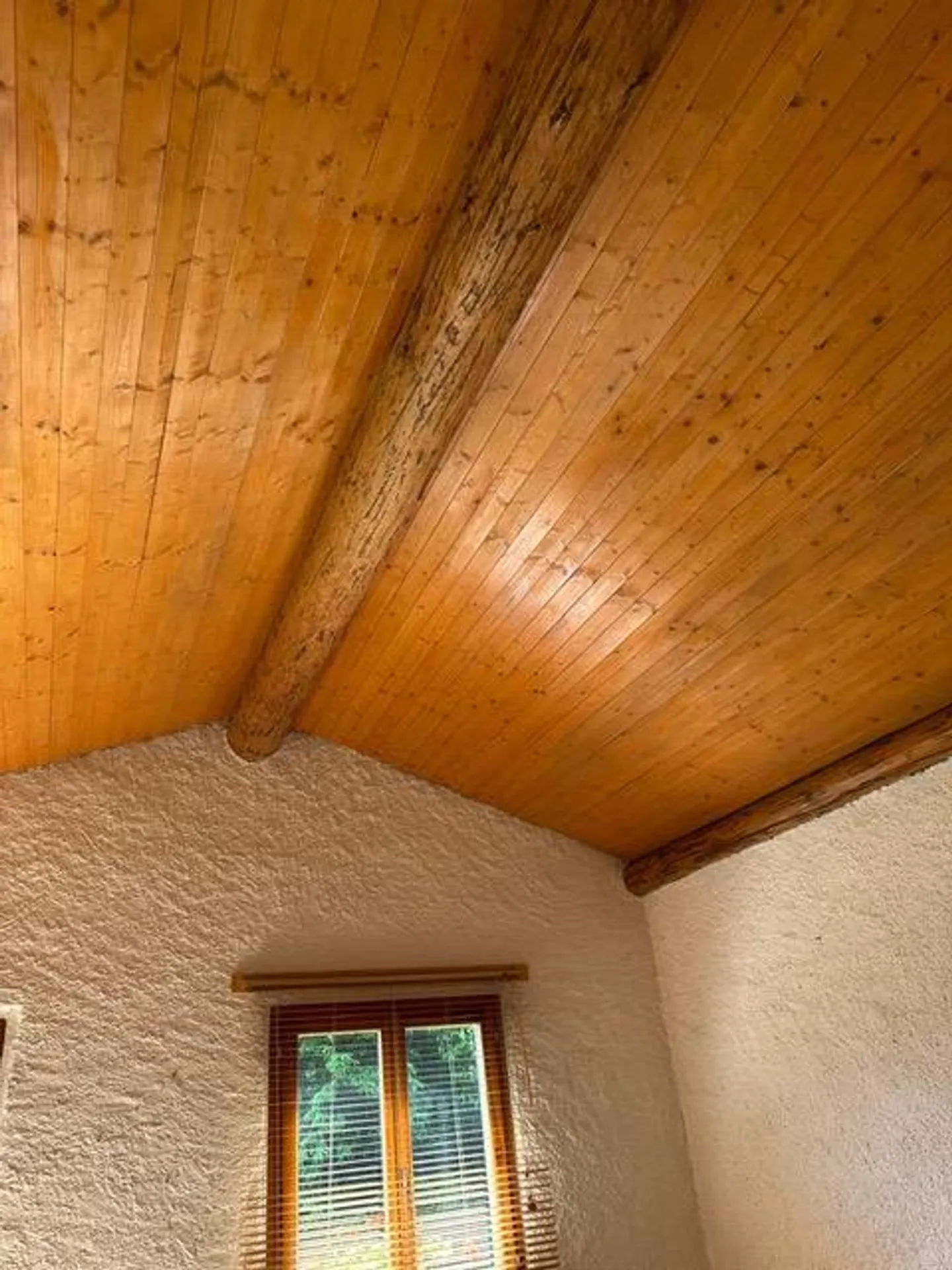 Monti di MEDEGLIA - Renovated Rustic - Photo 2 of 11