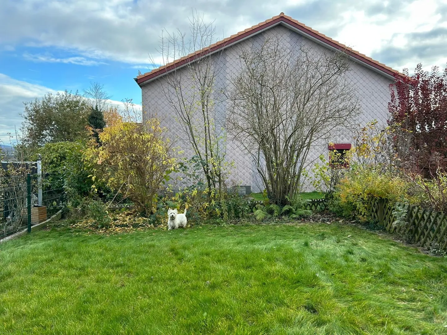 Charming 5.5-room terraced house in Zollikofen with garden and garage - Photo 12 of 20