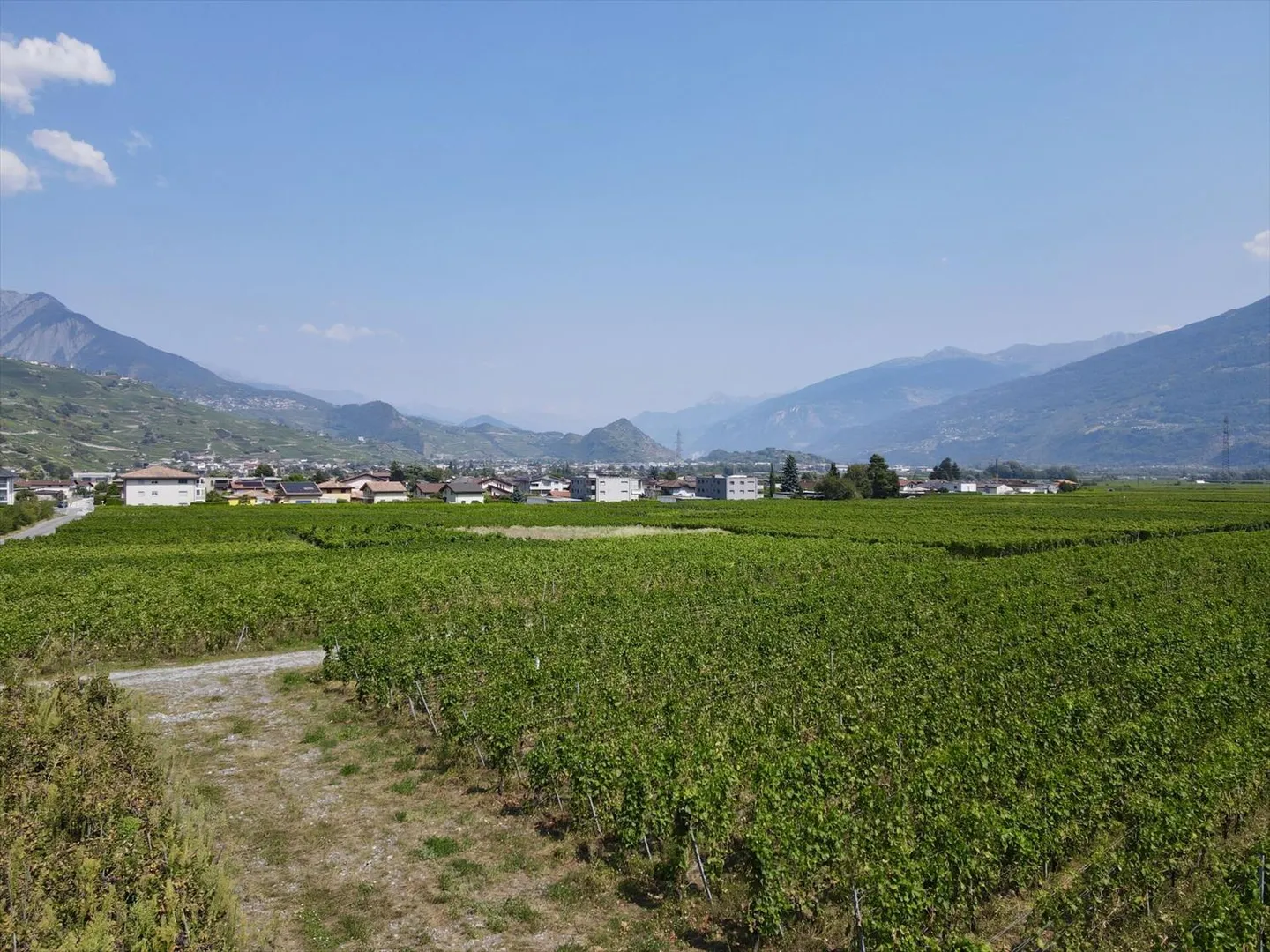 The Amignes - 3.5 Rooms - Photo 4 of 5