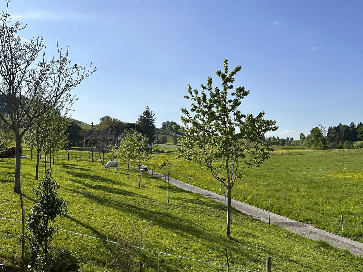 Casa di campagna moderna con comfort di lusso, vista panoramica e vita intelligente - Foto 13 di 17