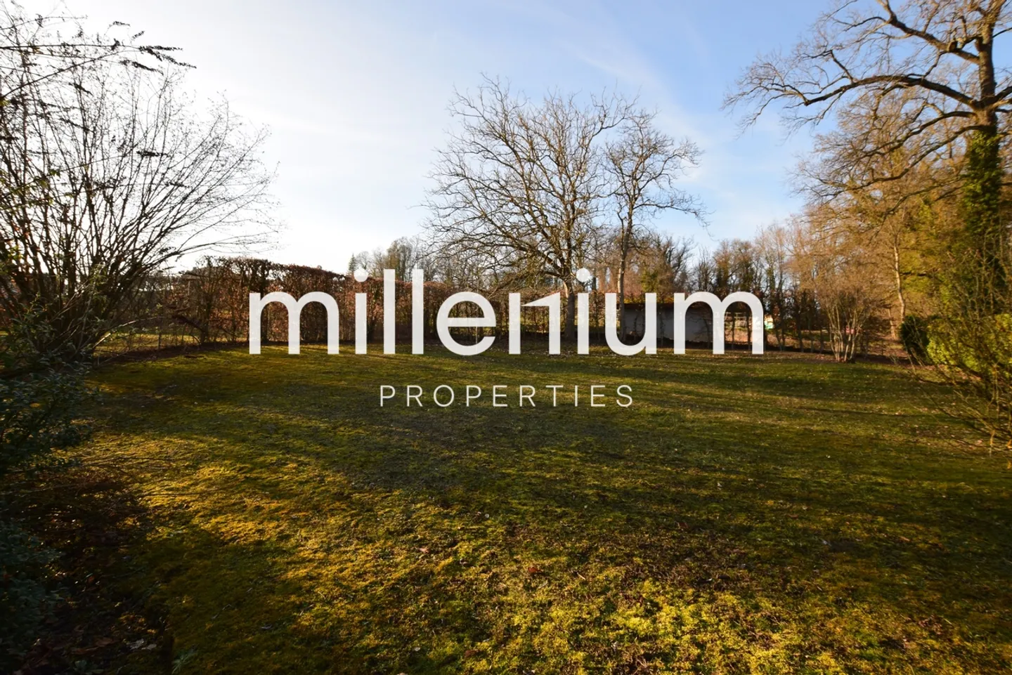 Single house for rent - Photo 1 of 13