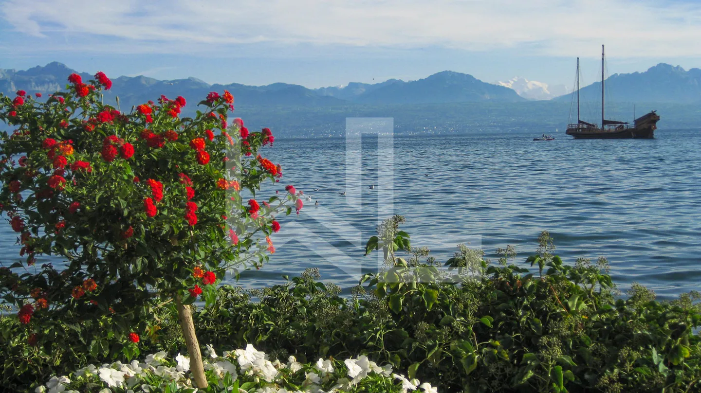 Casa a schiera in prima linea sul lago - Foto 2 di 12