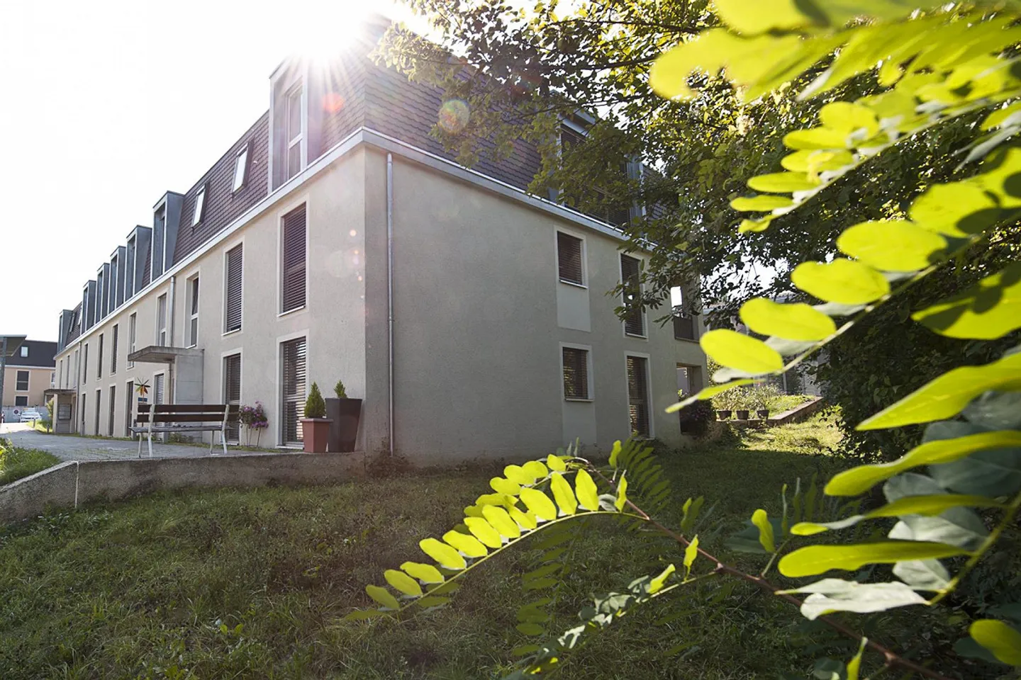 Dans le vert au-dessus d'Allschwil - La Brennerstrasse - Photo 2 sur 8