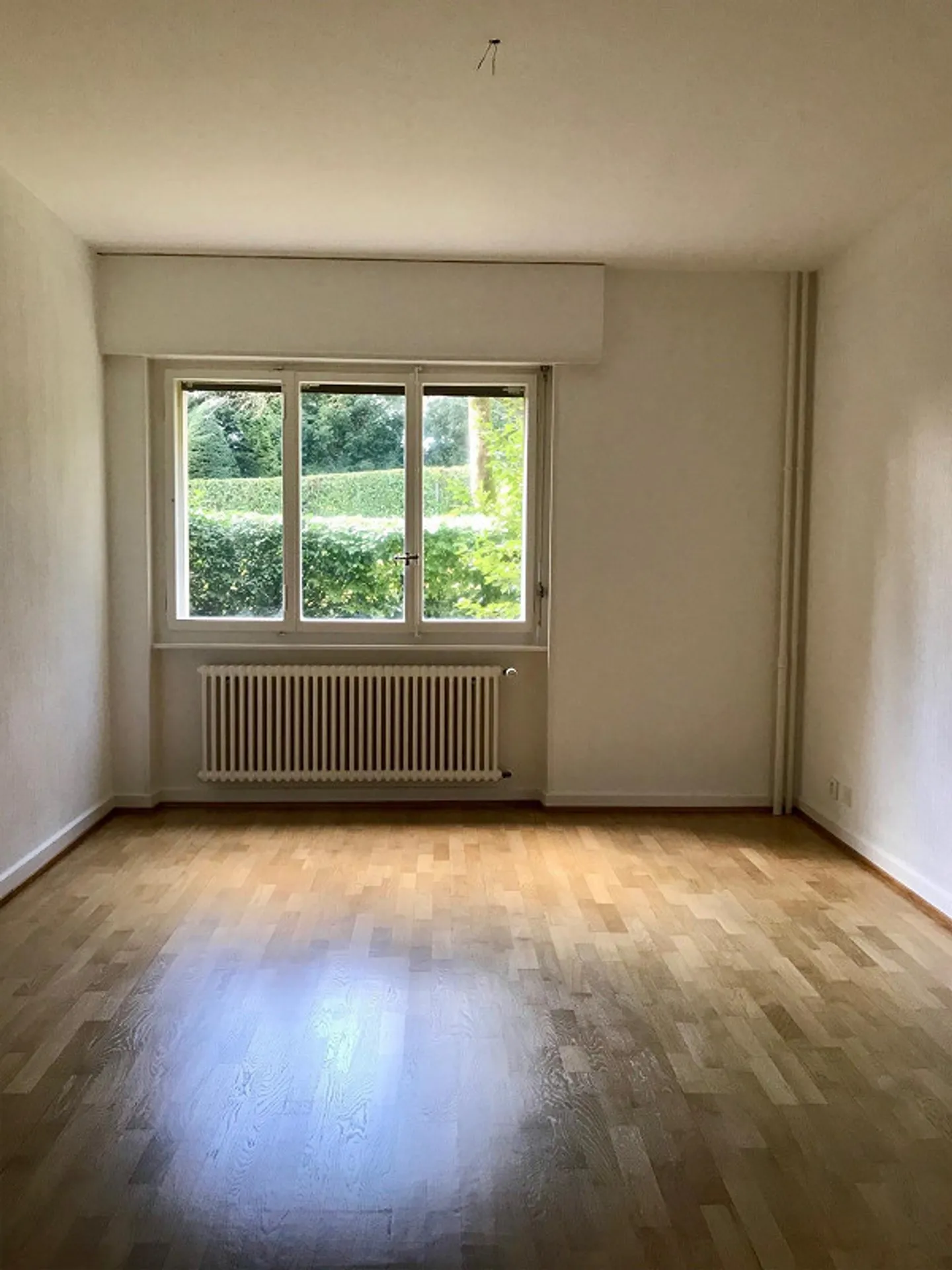 Il tuo primo appartamento con giardino! Contratto a termine fino al 28.02.2027 - Foto 9 di 13