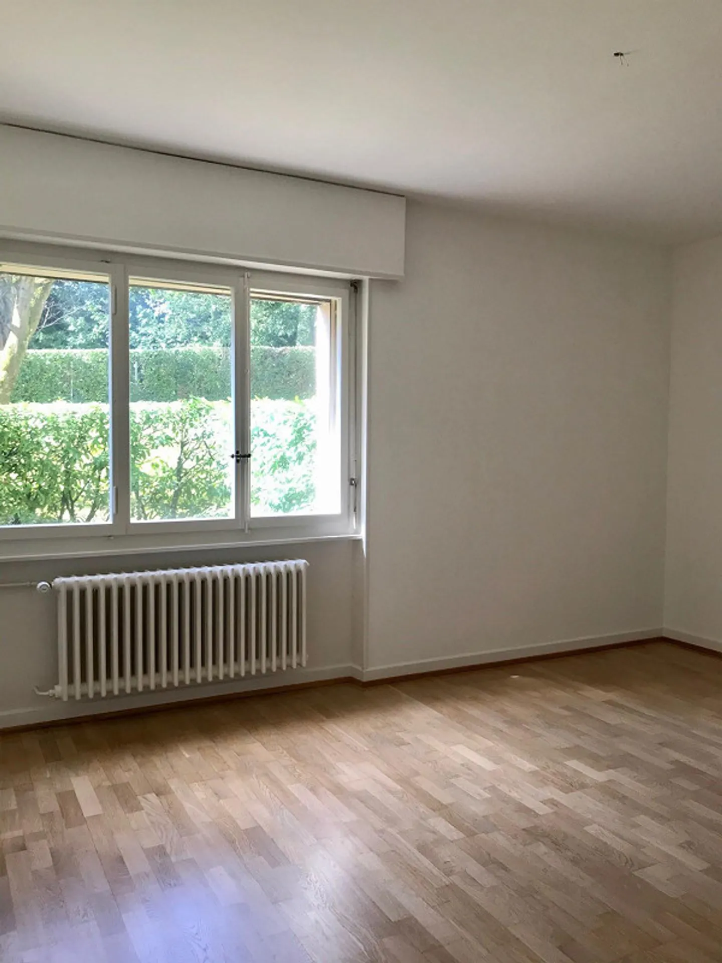 Il tuo primo appartamento con giardino! Contratto a termine fino al 28.02.2027 - Foto 10 di 13