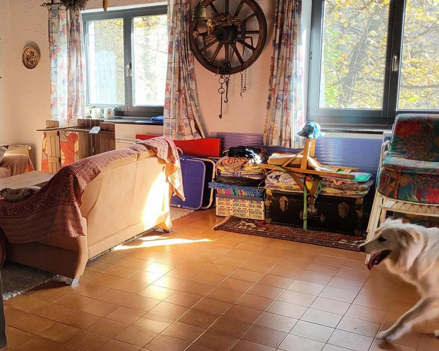 Maison de vacances individuelle dans un emplacement idyllique à Auressio - Photo 5 sur 7