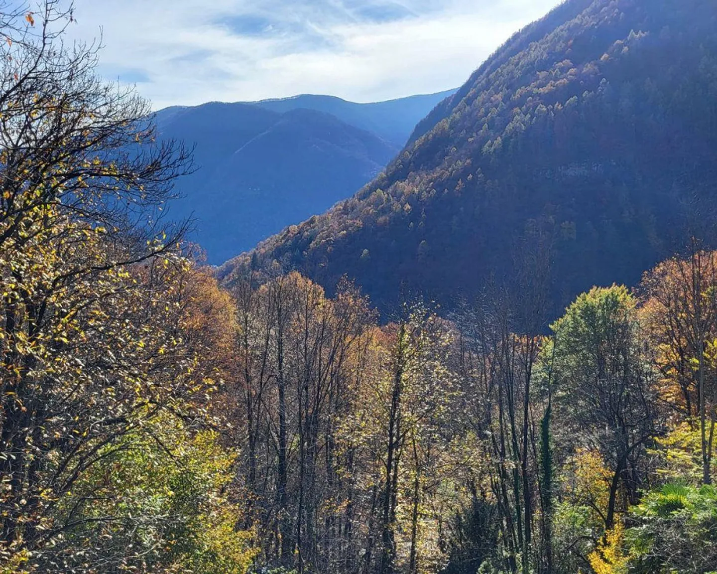 Maison de vacances individuelle dans un emplacement idyllique à Auressio - Photo 7 sur 7
