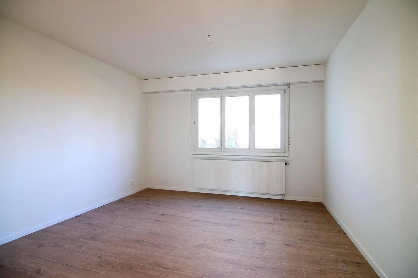 Living near Lake Biel - Photo 4 of 8