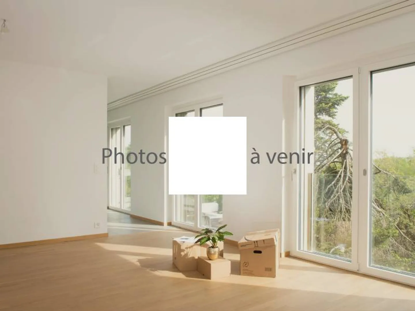 Apartment - Geneva - Photo 1 of 1