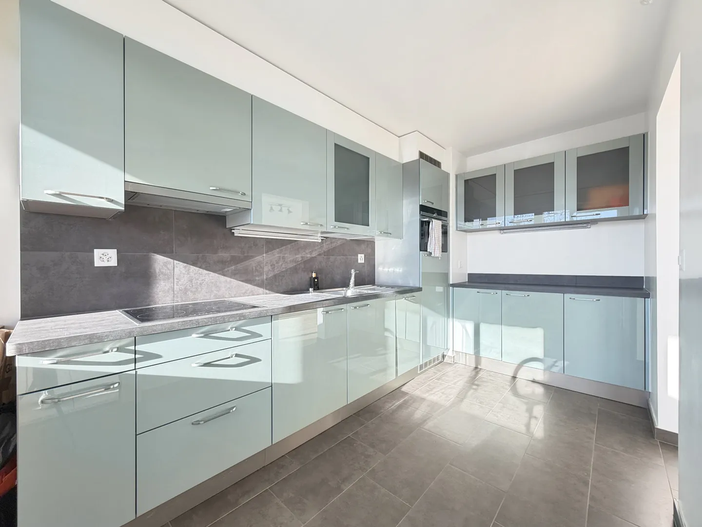 Charming Apartment in Coppet - Photo 5 of 11