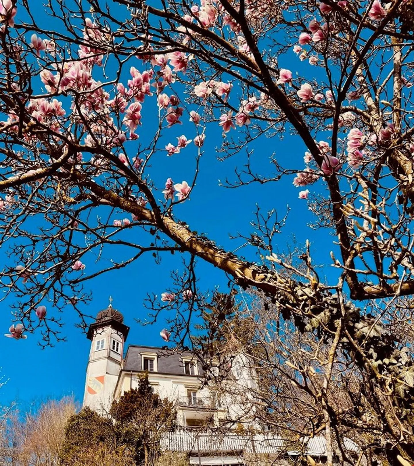 Your new apartment in Schlössli - Photo 3 of 13