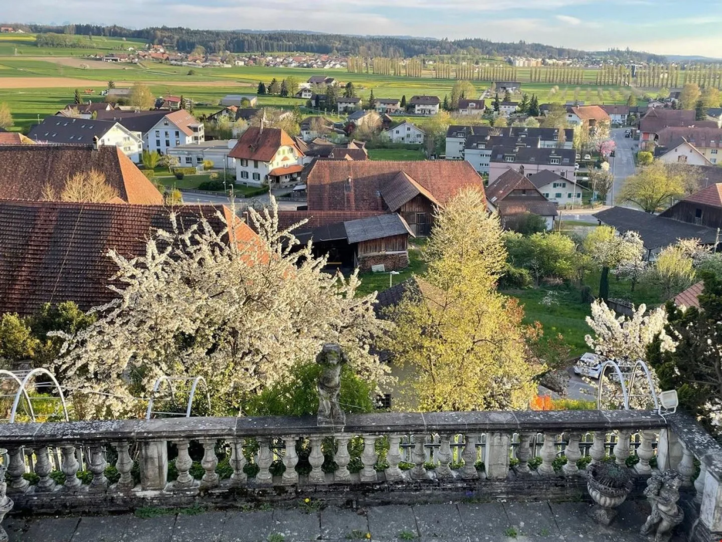 Your new apartment in Schlössli - Photo 6 of 13