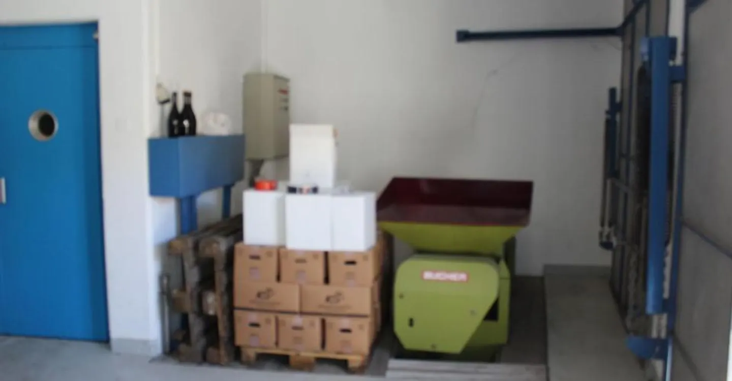 Lager | Weinkeller | Ausgestatteter Lagerraum | Salquenen - Foto 4 von 13