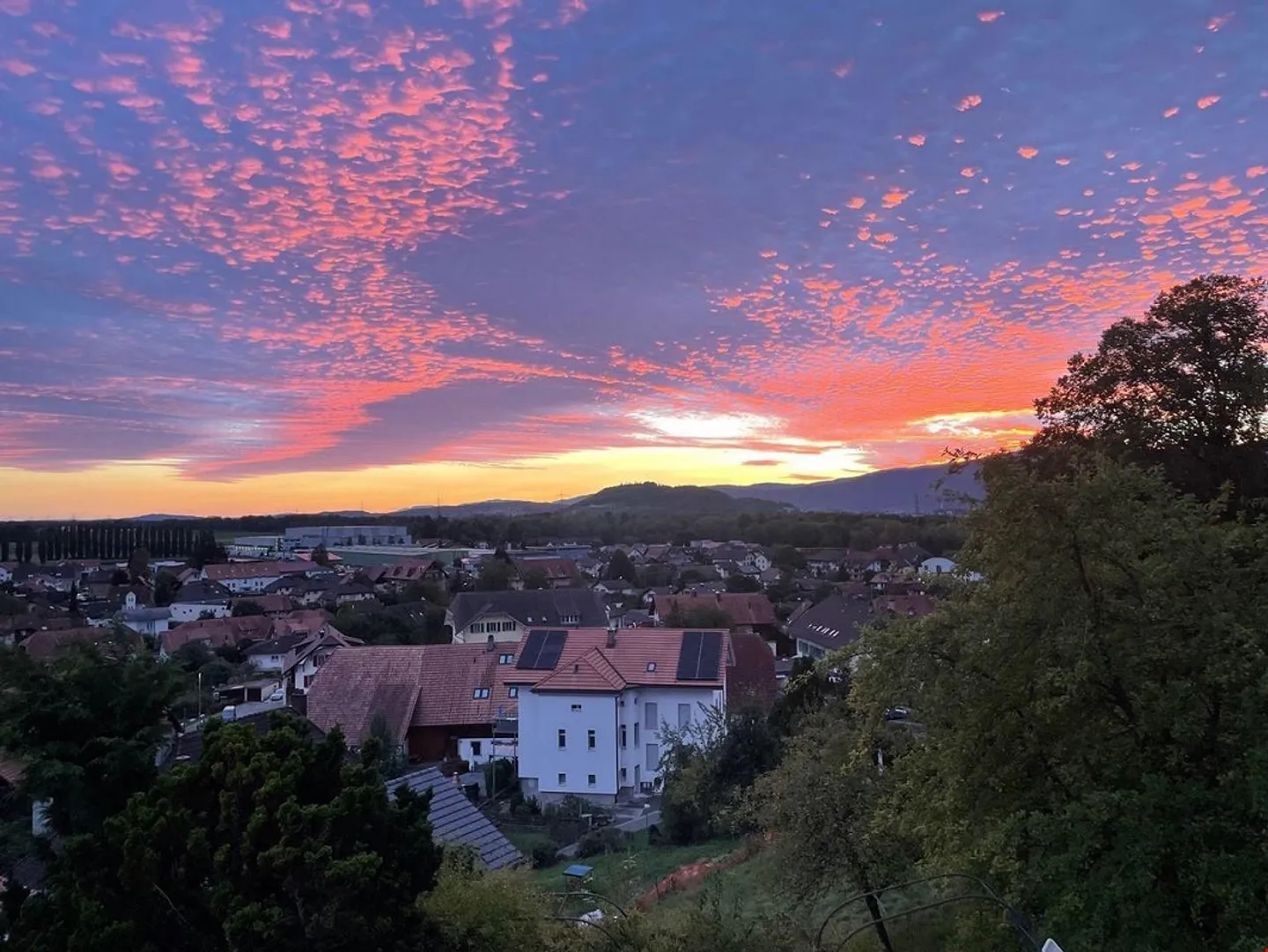 Your new apartment in Schlössli - Photo 8 of 13