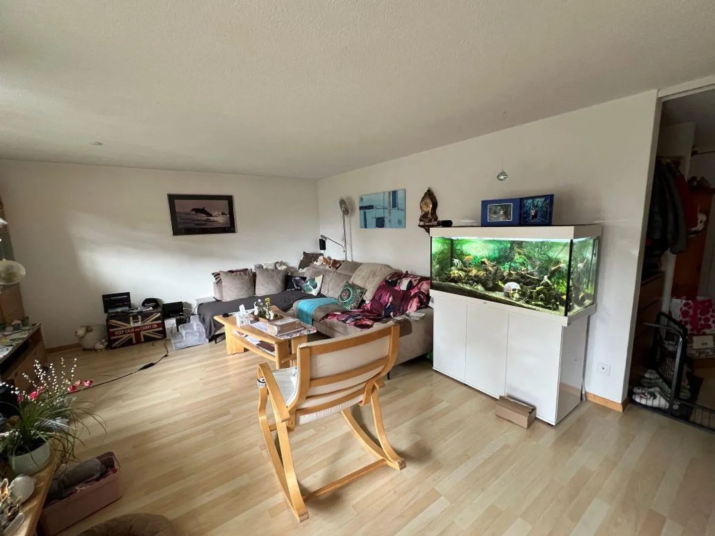 Charmante Wohnung in Arbon - Foto 7 von 13