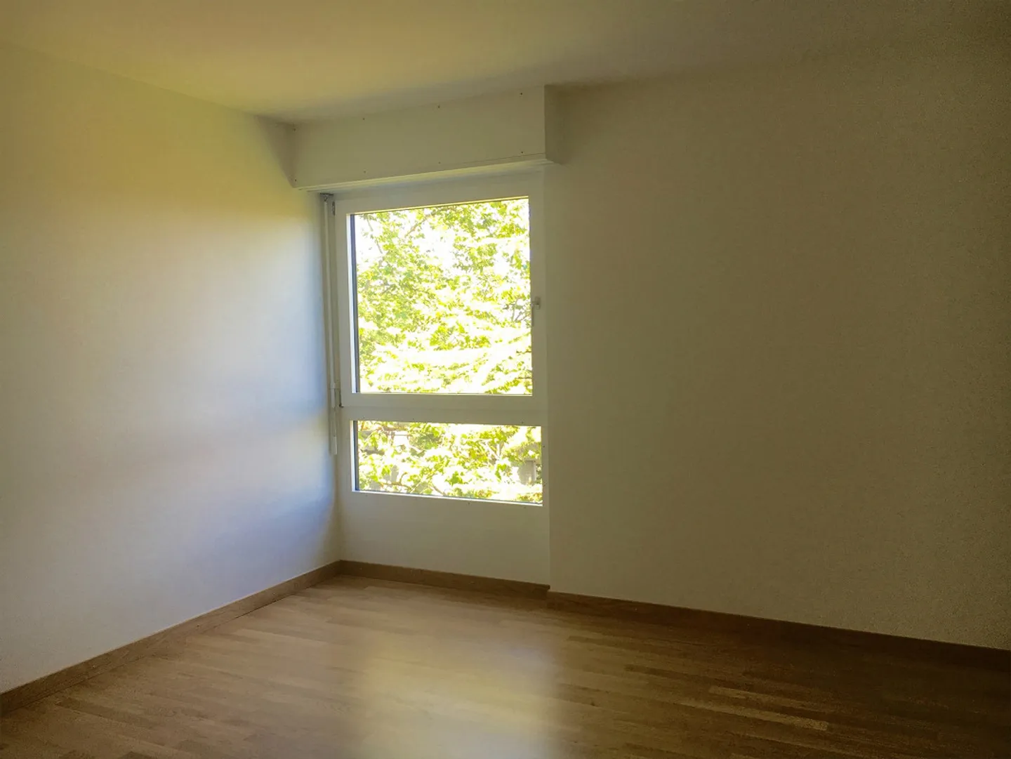 Appartement 2.5 pièces magnifique avec tour de lavage privé - Photo 4 sur 7