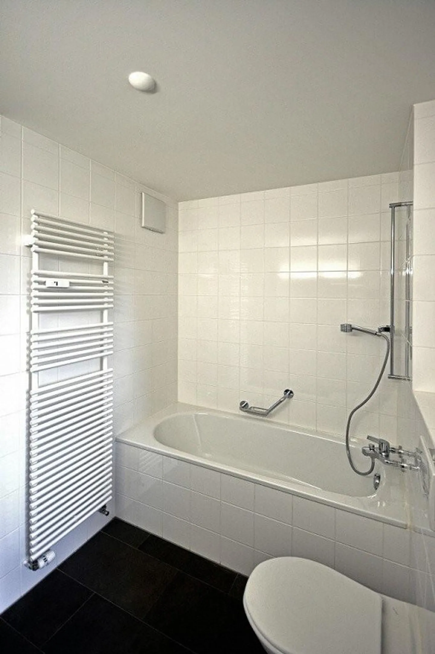 Stai cercando un appartamento d'epoca centrale sul Reno? - Foto 4 di 10