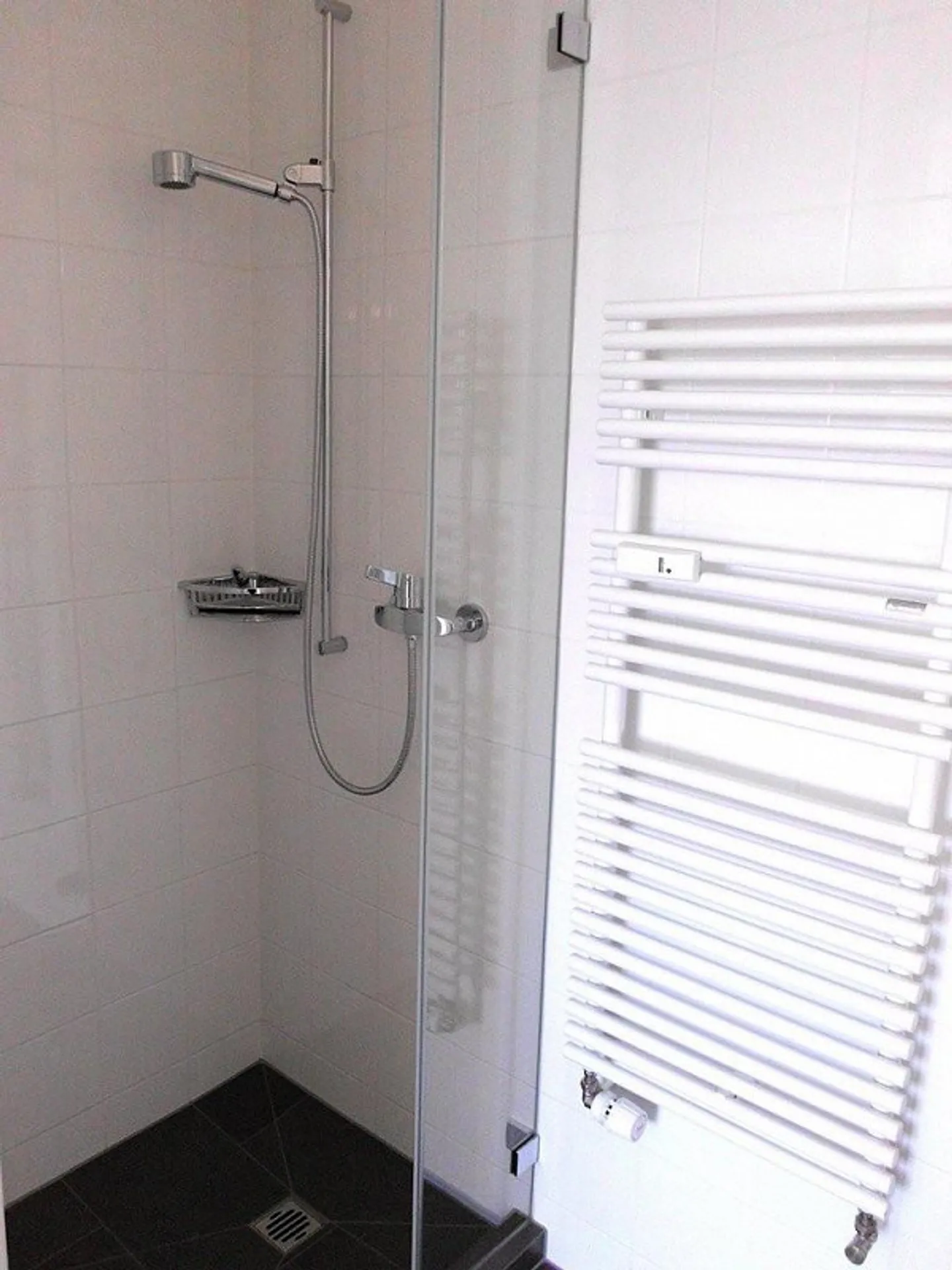 Stai cercando un appartamento d'epoca centrale sul Reno? - Foto 5 di 10