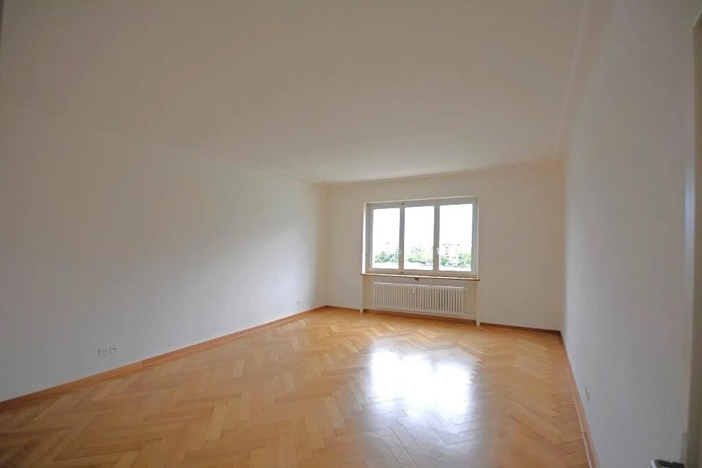 Stai cercando un appartamento d'epoca centrale sul Reno? - Foto 7 di 10