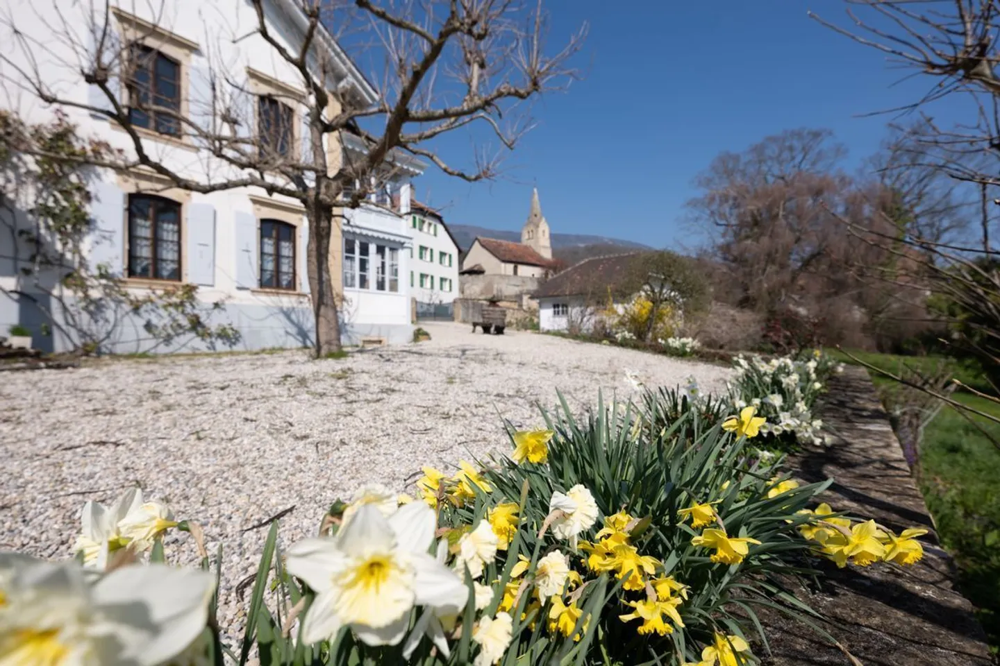 Historisches Haus in Bonvillars - Foto 2 von 13