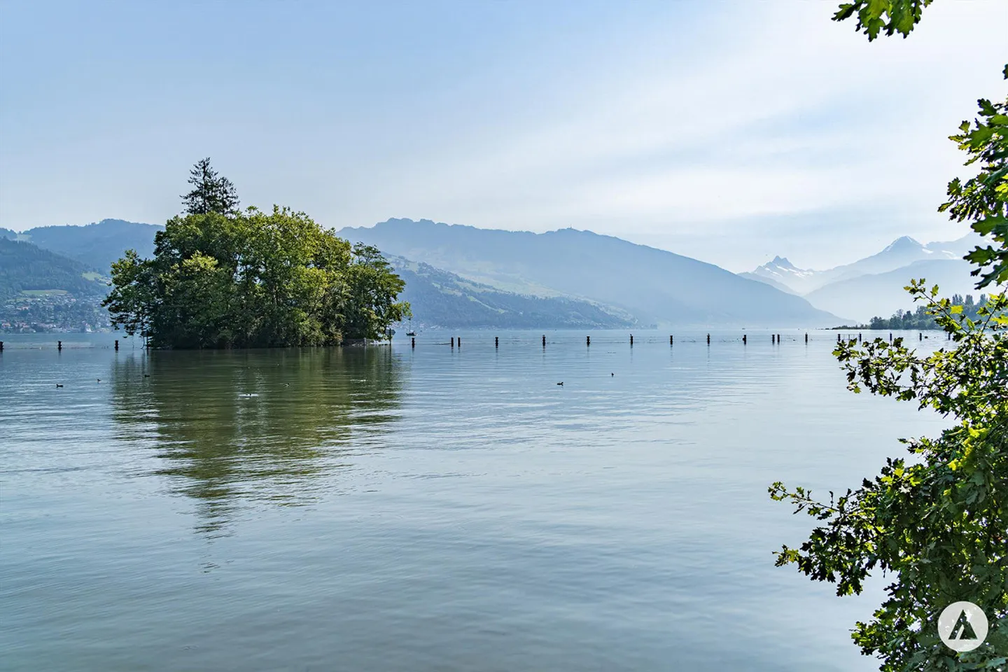 Modernes Apartment in Gwatt - Foto 11 von 13