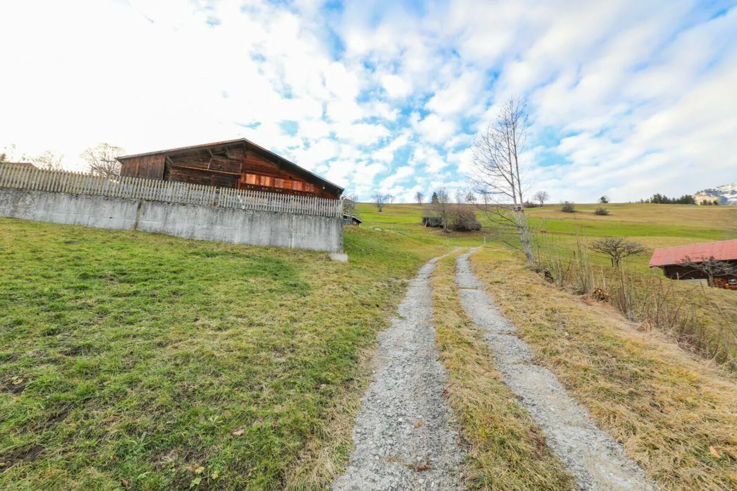 DM 133 - Photo 14 sur 16